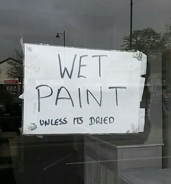 Morning Picdump