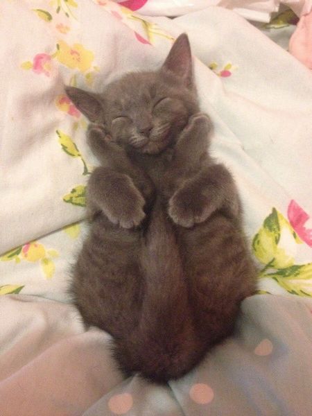 Morning Picdump