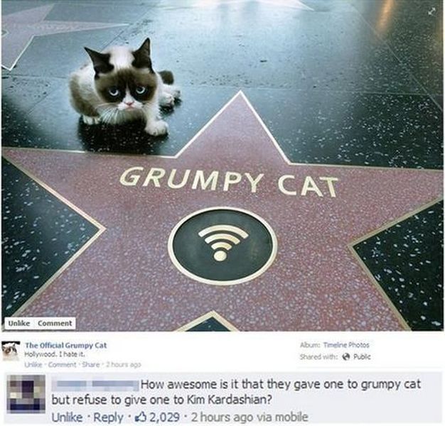 Morning Picdump