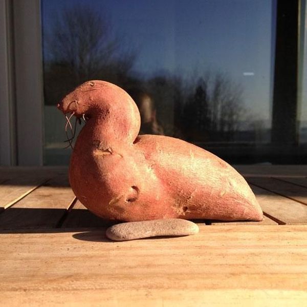Content Image