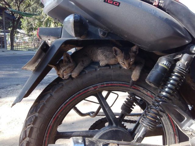 Morning Picdump