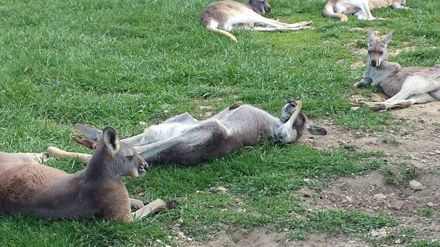 Daily Picdump