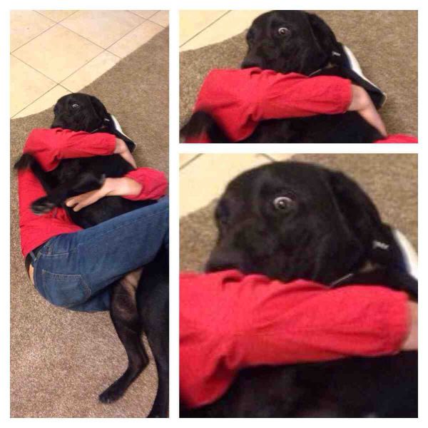 Daily Picdump