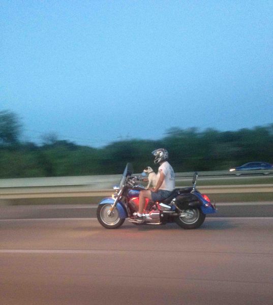 Daily Picdump