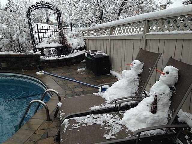 Daily Picdump