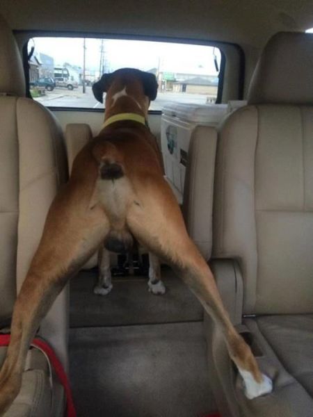 Content Image