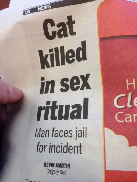 Content Image
