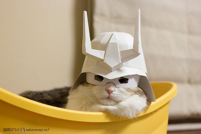 Content Image