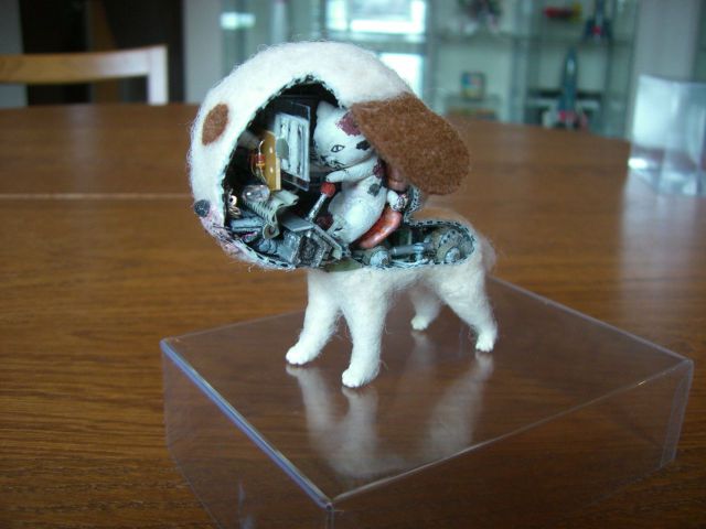 Content Image