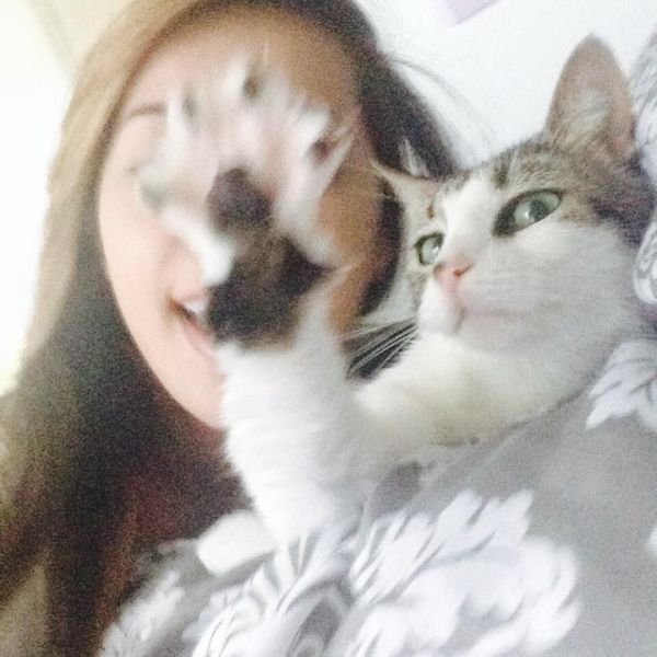 Morning Picdump