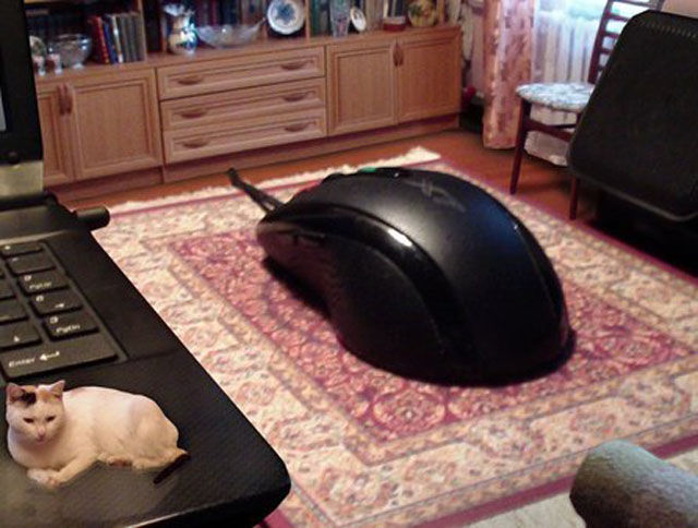 Funny Picdump