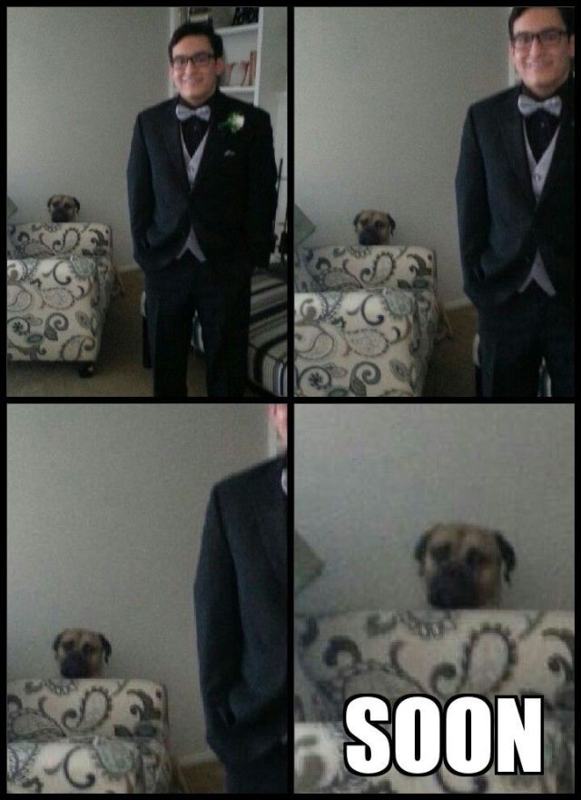 Content Image