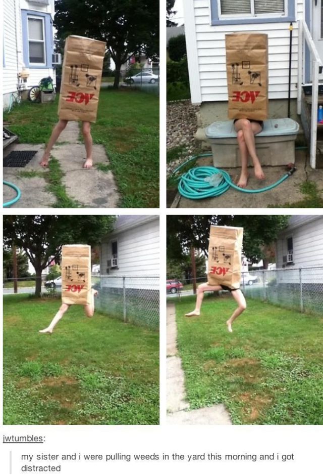 Content Image