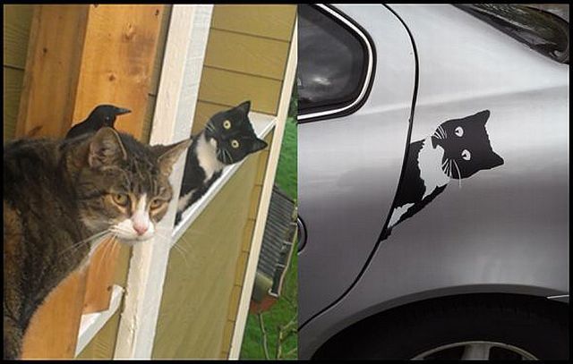 Morning Picdump