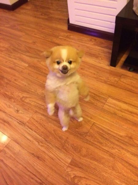 Content Image