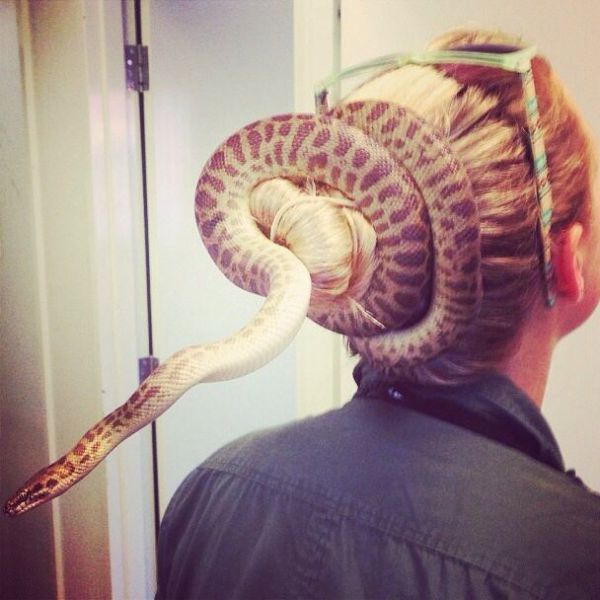 Daily Picdump