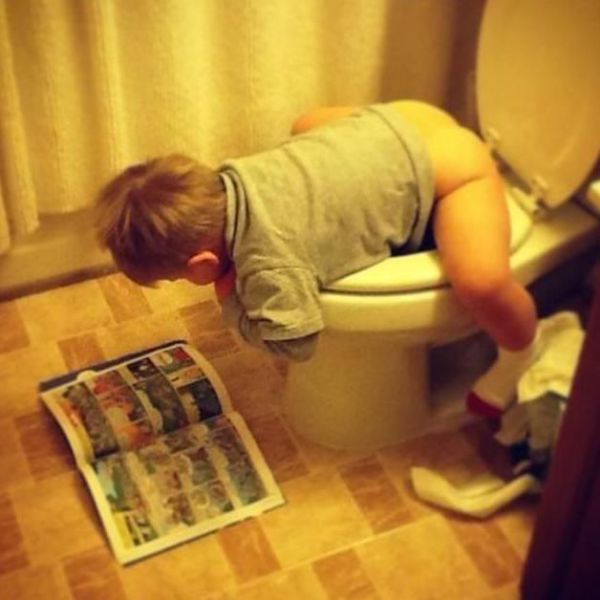 Morning Picdump