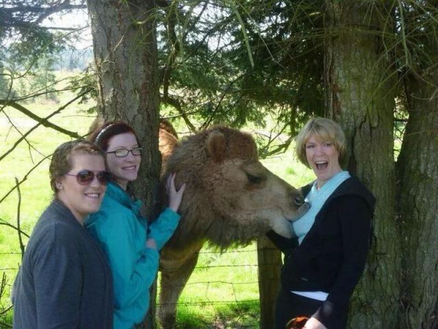 Daily Picdump [WEEKEND EDITION]