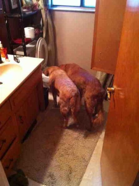 Daily Picdump