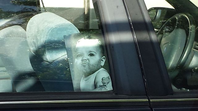 Daily Picdump