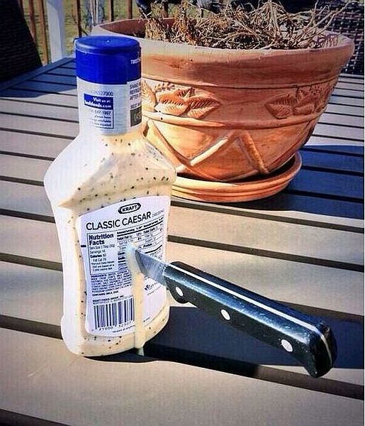 Daily Picdump