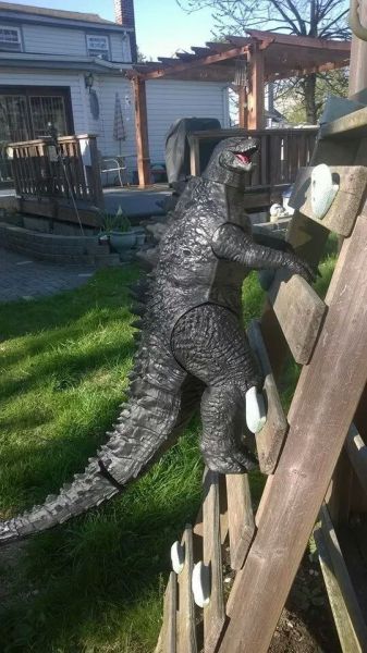 Content Image