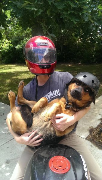 Content Image