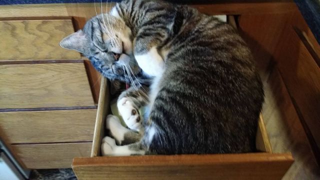 Morning Picdump