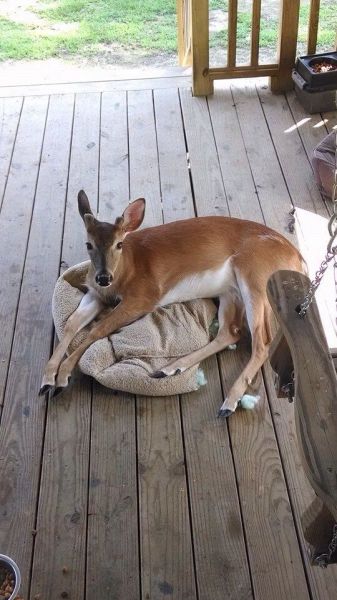 Morning Picdump