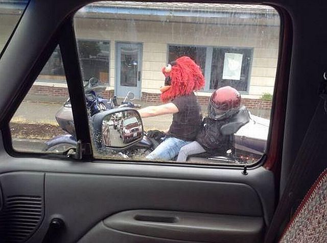 Content Image