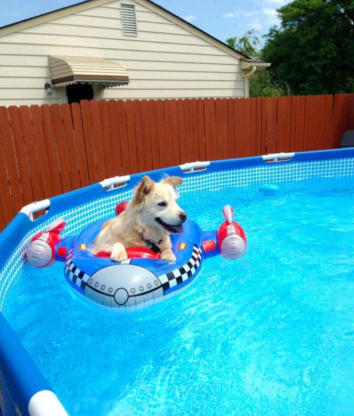Content Image