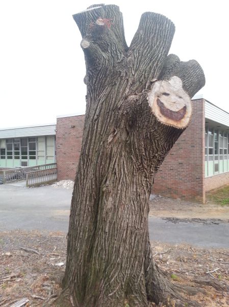 Content Image