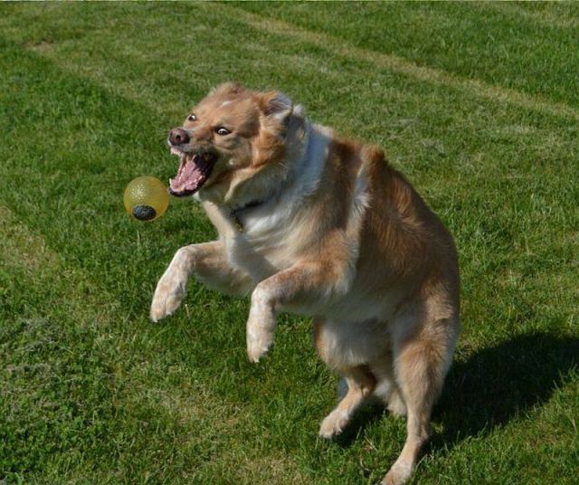 Morning Picdump