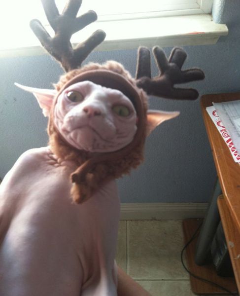 Morning Picdump