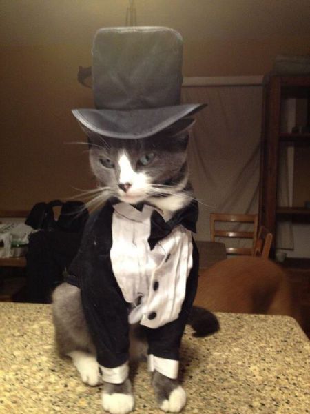 Morning Picdump