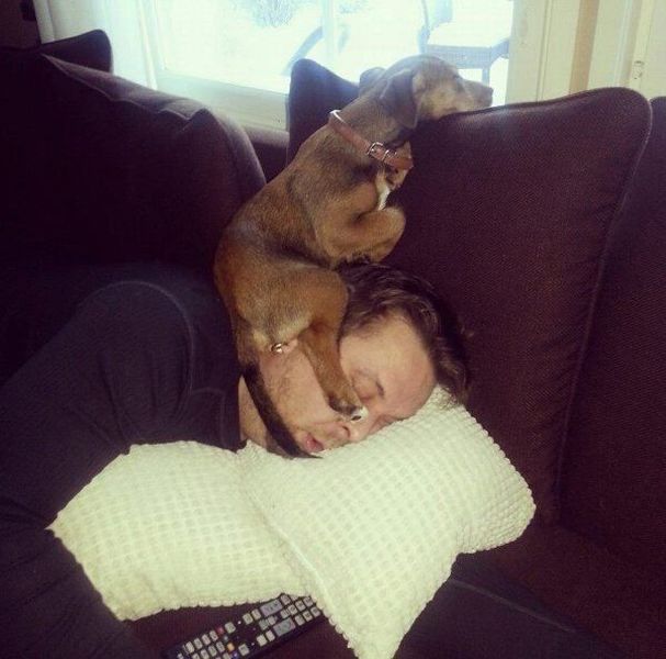 Morning Picdump