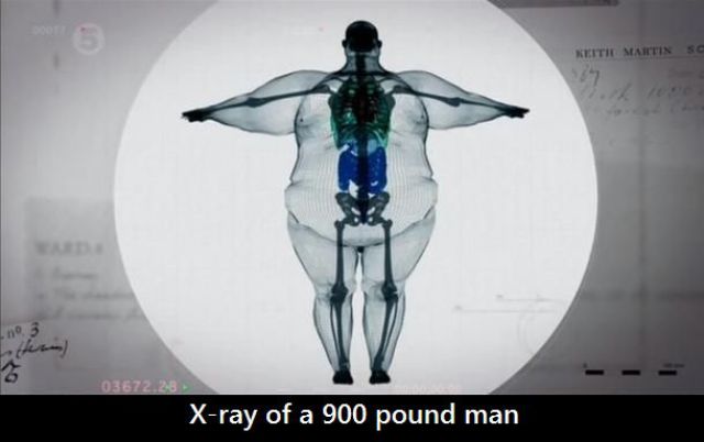Content Image