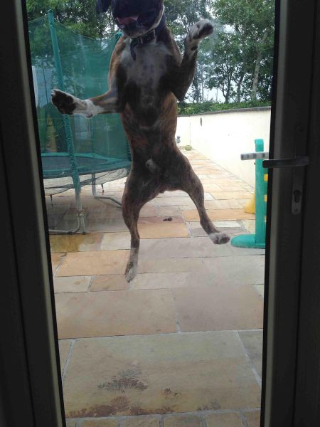 Morning Picdump