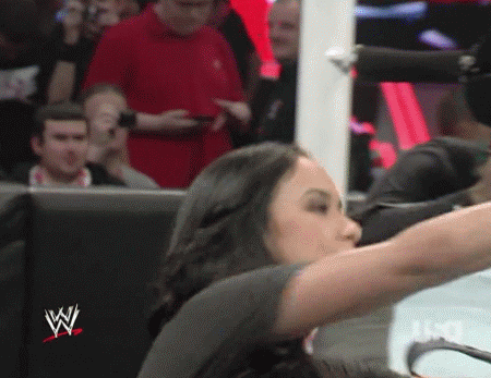 WWE Ring Girls Have Hot ASSets Too
