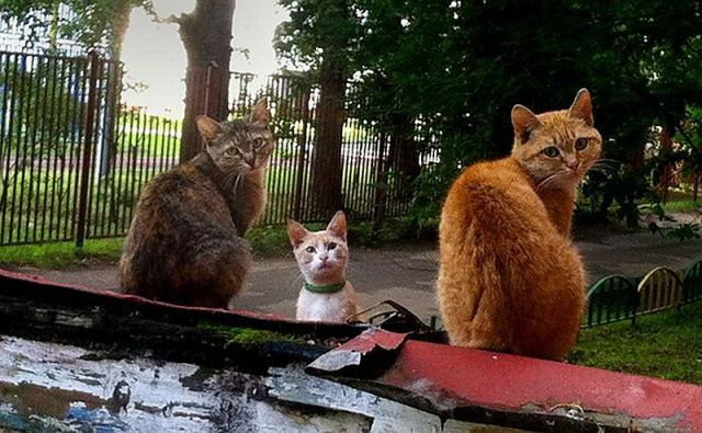 Morning Picdump