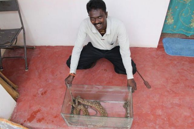 The Bravest Snake Expert on the Planet