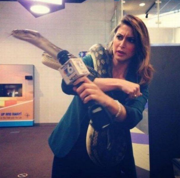 Content Image