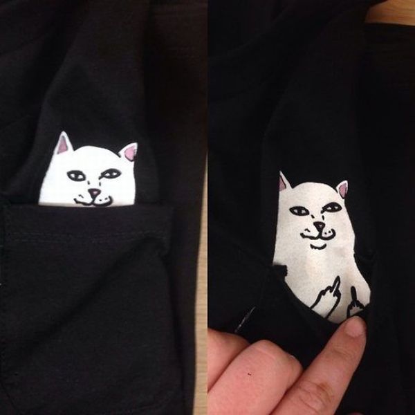Content Image