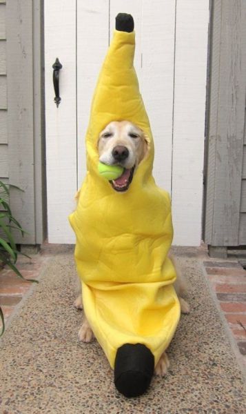 Content Image
