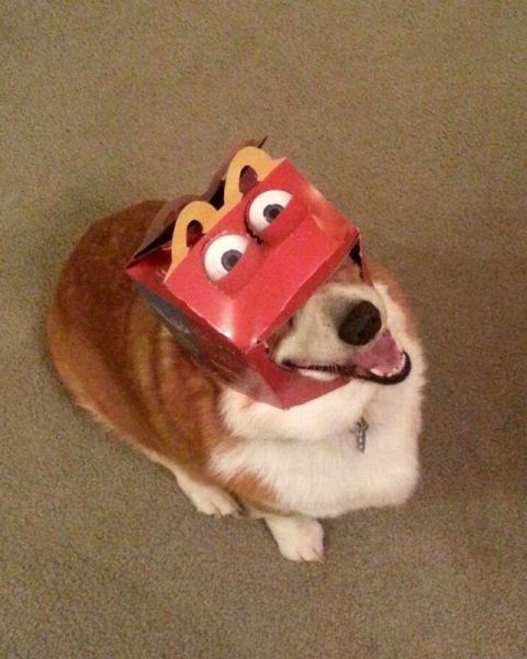 Content Image