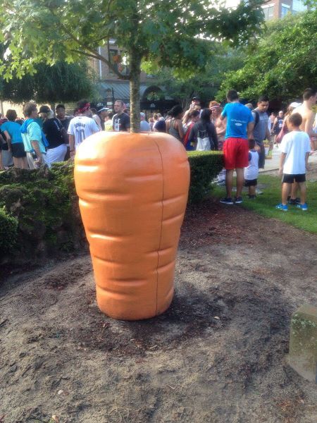 Content Image