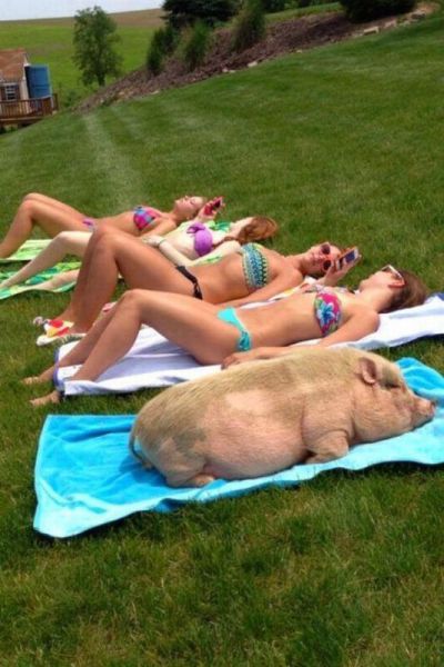 Content Image