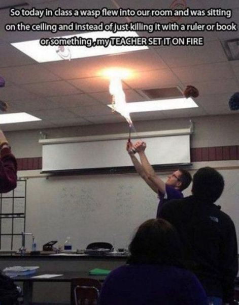 Daily Picdump