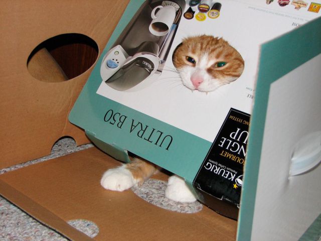Daily Picdump