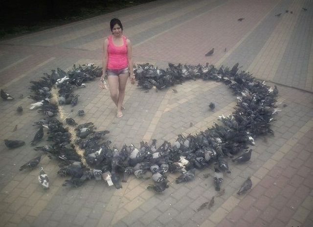Content Image